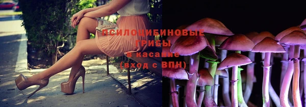 МДПВ Аркадак