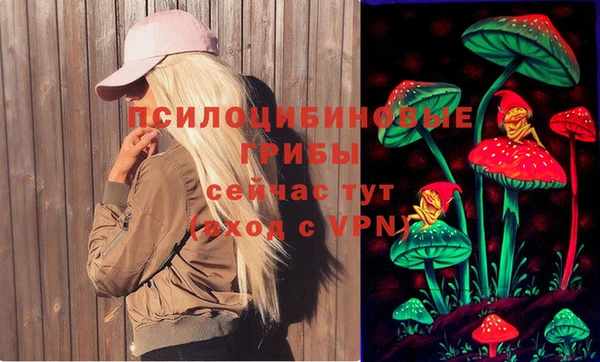 герыч Арсеньев