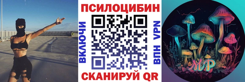 даркнет сайт  Таштагол  hydra ссылки  Галлюциногенные грибы Psilocybe 